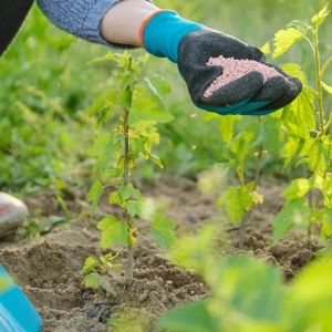 Abono y Fertilizantes