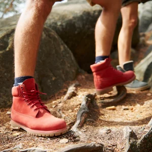 Actividades Básicas en Itinerarios de Iniciación de Baja y Media Montaña