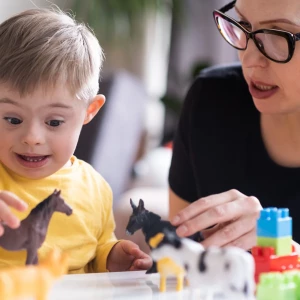 Atención al alumnado con necesidades educativas especiales (ACNEE) en centros educativos