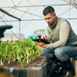 Big Data y Análisis Espacial en la Agricultura