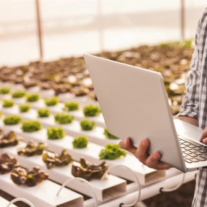 Elaboración del Cuaderno de Explotación