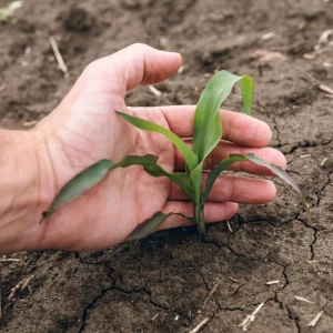 Curso Gestión Ambiental