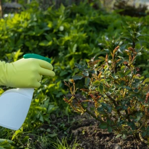 Gestión Integrada de Plagas