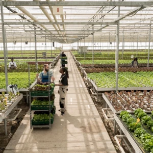 Manejo de Maquinaría Agrícola